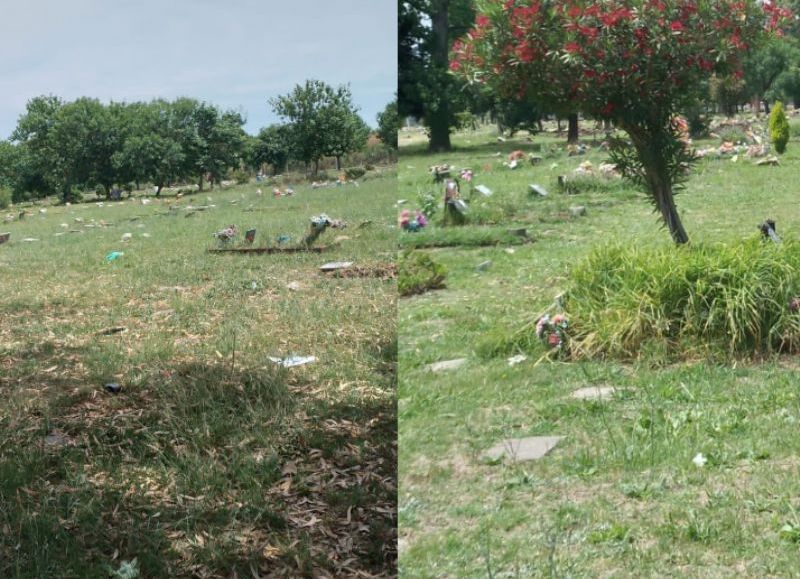 El abandono en el Cementerio Parque: pastizales altos y tumbas en deterioro reflejan el colapso del servicio bajo la gestión del intendente Selci.