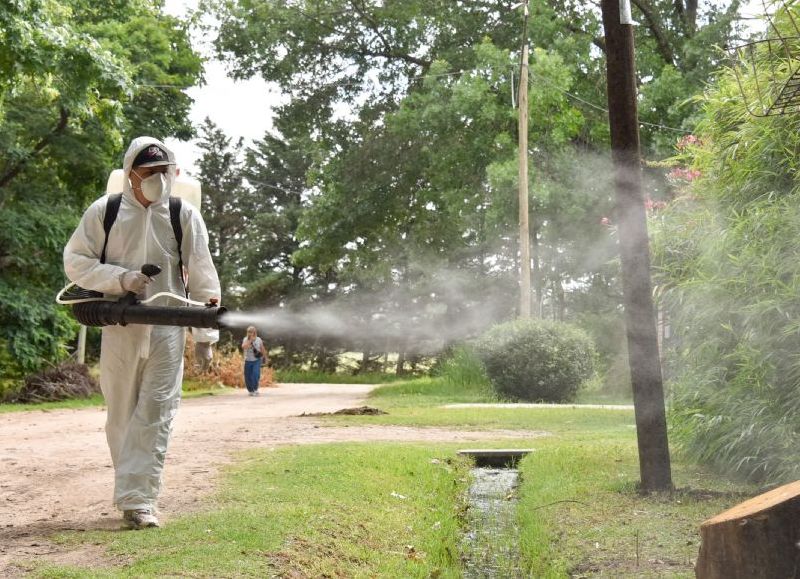 En conjunto con las charlas informativas, vale destacar que el municipio también realiza fumigaciones en todos los puntos donde hay casos sospechosos o positivos de dengue.