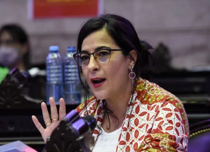 Carolina Moisés insiste con habilitar la eutanasia para determinados cuadros clínicos